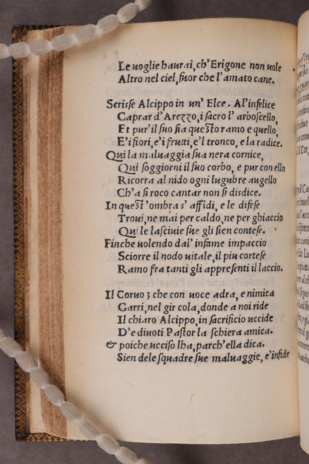 Folio 86 verso